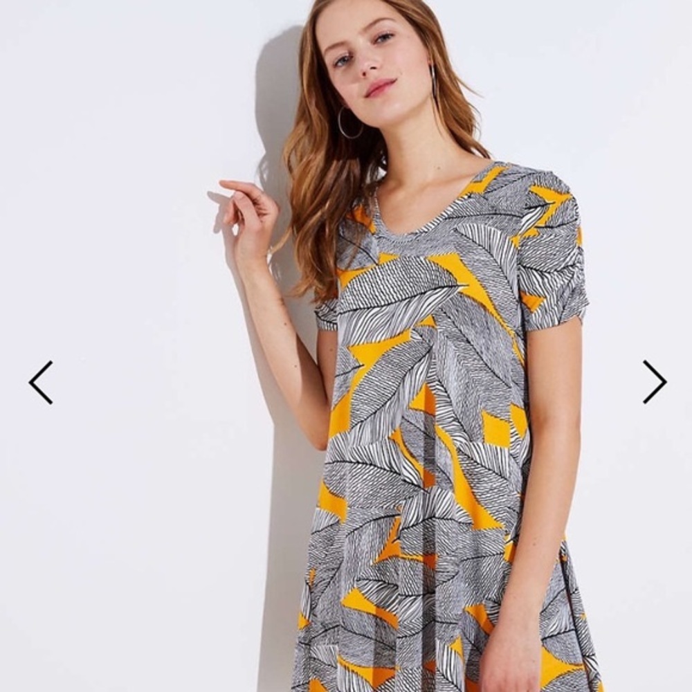NWOT Loft Fern Short Sleeve Swing Dress